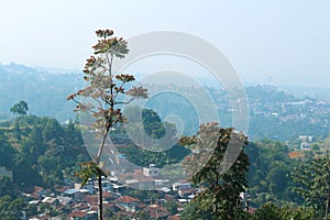 View of the houses on the hill