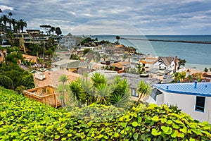 View of houses and the Pacific Ocean in Corona del Mar