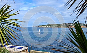 View on houses and San Lorenzo beach in Gijon, Asturias, Spain