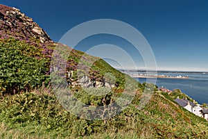 View from howth cliff to howth harbour at a sunny day without clouds
