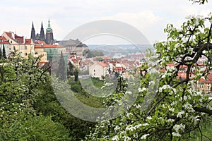 The view of Hradcany from Lobkavicka zahrada