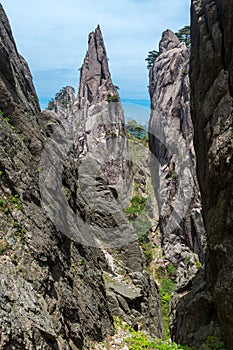 View of the Huangshan Mountains photo