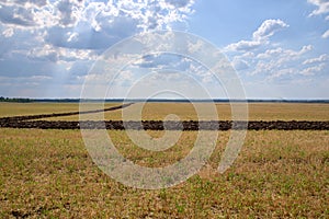 View of huge agricultural farm field in sun rays.