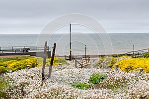 A view of hunstanton beach from the adjacent garden