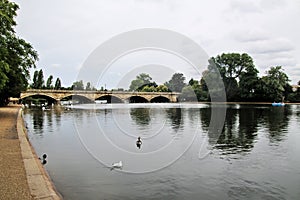 A view of Hyde Park photo