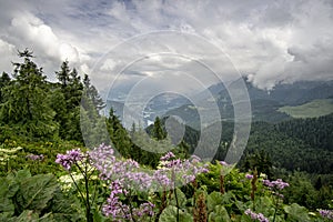 View on idyllic Konigssee from Feuerpalfen , Bavaria, Germany