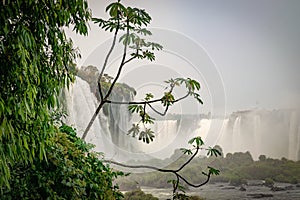 View of Iguazu Falls in Argentina and Brazil