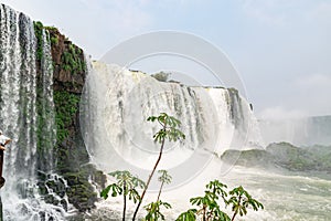 View of Iguazu Falls in Argentina and Brazil