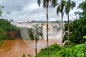View of Iguazu Falls at the border of Argentina and Brazil