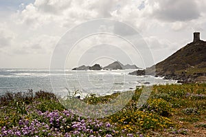 View of Iles Sanguinaires archipelago from the coast. Ajaccio. Corsica. France