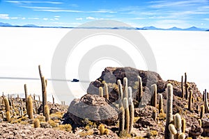 View from Incahuasi Island