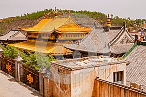 View of individual temples of the Ta\'er Tibetan Monastery in Xining, China, Asia