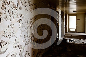 View from inside the abandoned building.