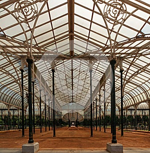 View inside Bengaluru's glass house.