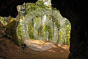 view from the inside of the burnt out stone tunnel in the Thuringian Forest