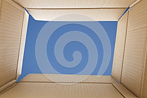 View from inside a cardboard box. Blue sky outside.
