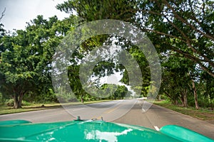 View from the inside of classic green cuban car with green trees and empty road