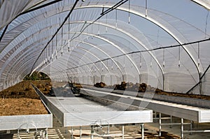 Horticultural Polytunnel on a sunny day photo