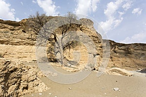 A view inside Sesriem canyon