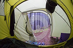 View from inside tourist tent. View through the entrance to the tourist tent on a forest slope with trees and morning fog