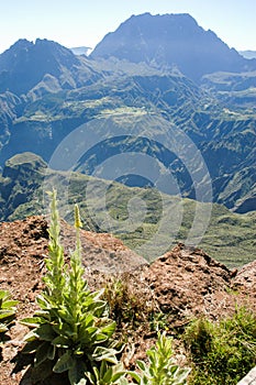 View into the interior of Reunion Island