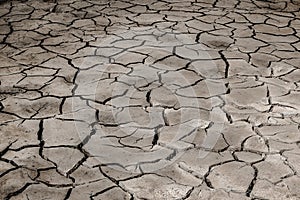 view of intricate mudcracks revealing the harsh beauty of a drought-stricken landscape.