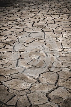 view of intricate mudcracks revealing the harsh beauty of a drought-stricken landscape.