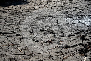 view of intricate mudcracks revealing the harsh beauty of a drought-stricken landscape.