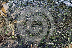 View of irrigation canal with weeds and debris flowing together with strong flowing dirty brown water due to soil and mud from photo
