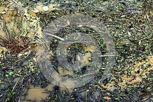 View of irrigation canal with weeds and debris flowing together with strong flowing dirty brown water due to soil and mud from photo