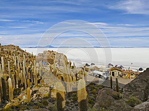 View from Isla Incahuasi on Salar de Uyuni, Altiplano, Salar de Uyuni, Bolivia photo