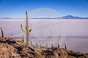 View from Isla Incahuasi, Uyuni, Bolivia