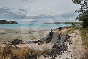 View of Islington bay from the Coastal track on Rangitoto island