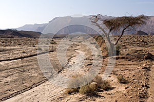 View of the Israeli desert in autumn