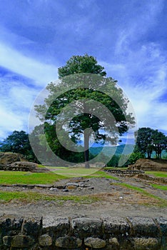 View of Iximche Mayan ruins in TecpÃÂ¡n, Guatemala photo