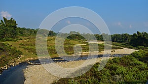 View of Jaldapara from Running Train near Doors on a summer day. Traveling to Dooars photo