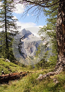 View of Jalovec mountain