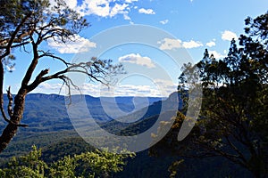 A view of the Jamison Valley in the Blue Mountains