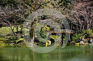 Japanese garden and wooden bridge, spring in Japan.