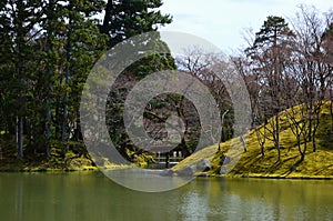 Japanese garden and wooden bridge, spring in Japan.