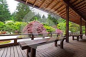 View of Japanese Garden from the Veranda with wood benches