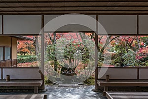 View of Japanese Maple Trees and Leaves from the Japanese Pavilion in Saihoji Garden, Kyoto