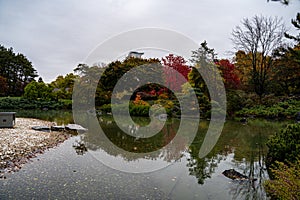 View of the Jardin Botanique garden