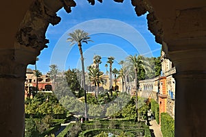 View at the Jardin de la Danza of the Alkazar of Seville photo