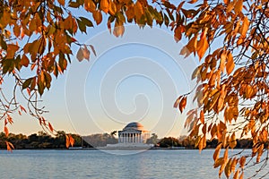 A view of the Jefferson Memorial in Washington DC framed by autumn foliage.