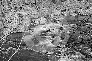 View of Jennings Creek, a Wild Mountain Trout Stream