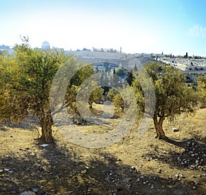 View of Jerusalem from Mount of Olives