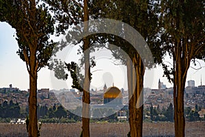 View of Jerusalem through the trees