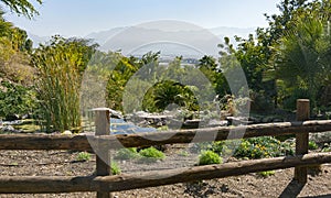 View of Jordan from Eilat Botanical Garden