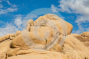 A View in Joshua Tree National Park, California